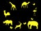 Set of animals. Mammals, birds and insects. Yellow icons on a black background. Vector