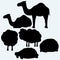 Set of animals. Turtle, camels, sheep and hedgehog