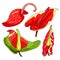 Set is anthurium flower flamingo. vector illustration