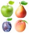 Set from apple, pear, plum peach isolated on white background