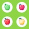 Set of apples of different colors. Vector illustration on round white backing and green background.