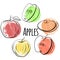 Set of apples of different shapes. Single and halves of apples with grunge colored dots.