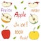 Set of apples and their slices with letters