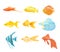 Set of aquarium fishes clipart. Collection of beautiful unusual domestic fish. Vector illustration in cartoon style is