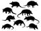 Set of Armadillo silhouette vector art