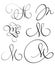 Set of art calligraphy letter M with flourish of vintage decorative whorls. Vector illustration EPS10