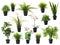 Set of artificial plants in flower pots isolated