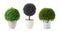 Set of artificial plants in flower pots isolated. Banner design