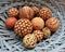 Set of assorted decorative balls made from natural materials