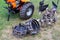 A set of attachments, hiller, milling cutters and lugs. Motoblock for agricultural work. Purchase and running-in of a