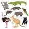 Set of Australian animals and birds. Wild creatures. Fauna theme. Detailed vector elements for zoology book or poster