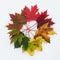 Set of autumn beautiful colour leaves from green to deep red,