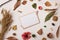 Set of autumn dry plants and paper card template