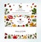 Set of autumn horizontal banners with hand drawn leaves, pinecone, Christmas tree branch, acorn and berries isolated on white.