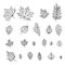 Set of autumn leaf outline illustrations. Leaves of oak, maple, birch. Perfect for creating an artistic and botanical aesthetic,