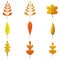 Set Autumn leaves 3D. Fall leaf, minimal 3d render, plasticine, vector