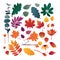 Set of autumn leaves. Design elements of red color for the autumn season. Silhouettes of maple leaf, oak leaf, sea