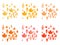 Set of autumn leaves or fall foliage icons. Maple, oak or birch and rowan tree leaf. Falling poplar, beech or elm and