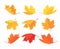 Set of autumn maple leaves. Vector autumn background with leaves of different shapes