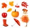 Set of autumn-themed objects.