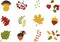 A set of autumn things in a cute cartoon style. Vector illustration of a group of objects. Template for the design of autumn