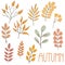 Set of autumn twigs with leaves. Hand drawn elements for autumn decorative design