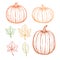 Set of autumnal pumpkins and leaves, vector sketch hand drawn illustration