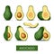 Set of avocado icons