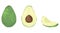 Set avocado isolated on white background. a whole avocado, half with a stone and a slice of avocado. Exotic fruits.