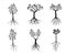 Set back Tree with Roots. Vector outline Illustration. EPS file