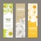 Set of backgrounds for natural herbal tea and organic cosmetic label