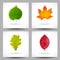 Set of backgrounds with triangular leaves