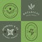 Set of badges, banner, labels and logos for botanical natural product, shop. Leaf logo, flower logo.