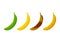 A set of banana`s ripe phases