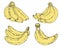 Set of bananas in clipart style