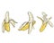 Set of bananas in clipart style in isolate on a white background