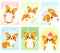 Set of banners with cute corgi dog