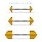 Set of Barbells with Different Weights. Golden Coins Bars