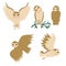 Set of barn Owls isolated on a white background. Vector graphics