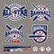 Set of baseball sport badge logo design template