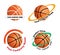 Set Basketball team logos