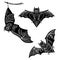 Set of bats.