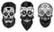 Set of bearded mexican sugar skulls with pattern. DAY OF THE DEAD. Design element for poster, greeting card, banner, t shirt, flye