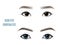 Set of Beautiful Asian and European Woman Eyes and Brows. Vector illustration