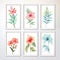 Set of beautiful canvases adorned with colored pastel flowers in elegant frames