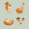 Set of beautiful character squirrels on green background. Vector illustration charming animals in different poses front and side