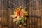 Set of beautiful colorful autumn leaves isolated on dark brown wood. Autumn vibrant colors. Close-up of group of fall leaves top