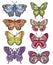 Set of beautiful and colorful various forms butterflies.