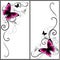 Set of beautiful corners with butterfly and decorative lines. Vector ornament for page decor. Floral frame elements