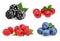 Set of beautiful fruits blackberries, cranberries, raspberries
